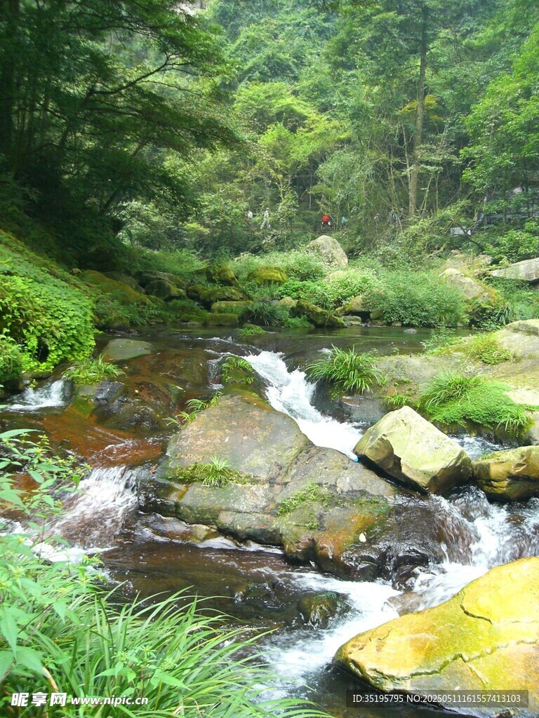 山間溪流綠意盎然的景致