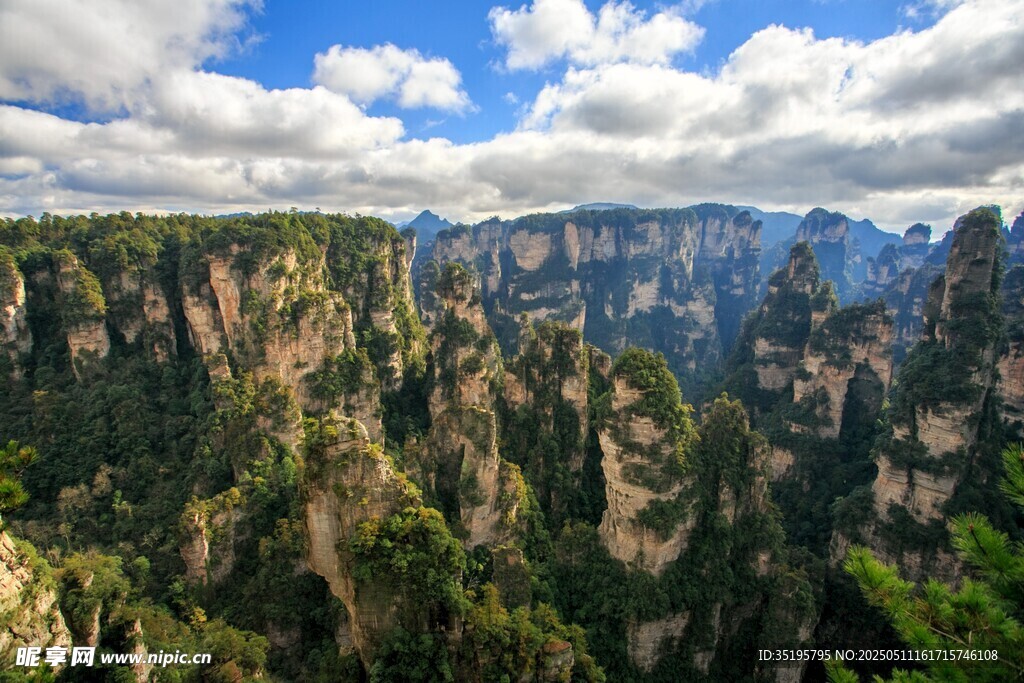 壯麗張家界奇峰景觀
