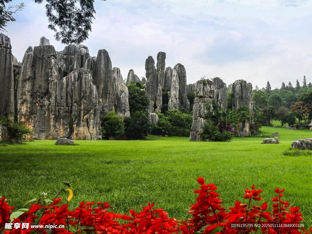 云南石林美景 綠草紅花相伴