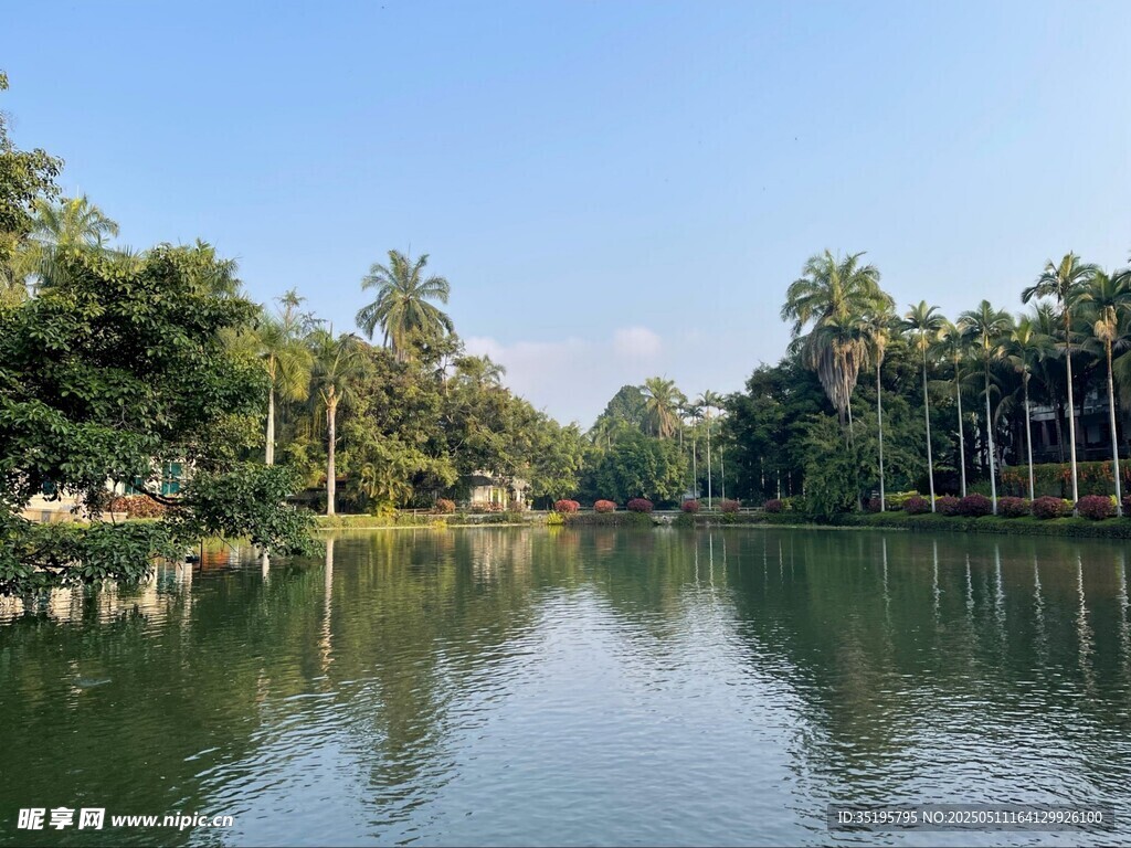 寧靜湖畔綠樹環繞美景