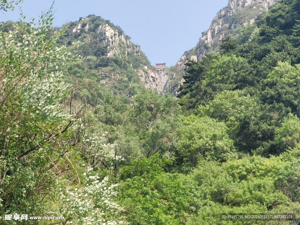 青山綠樹間的秀麗山景