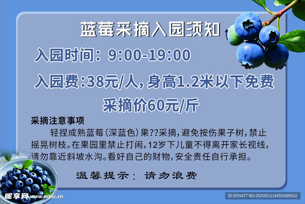 藍莓廣告