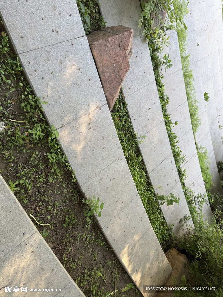 戶外石階旁的綠植景象