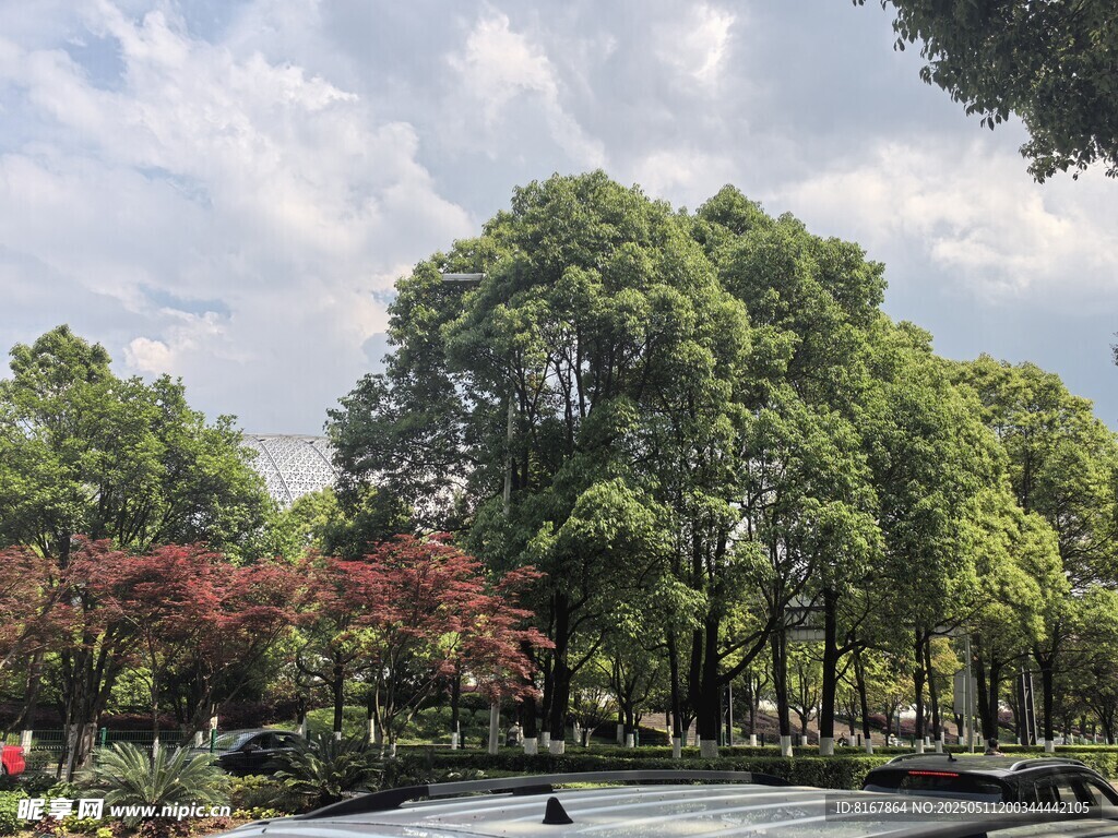 湖畔綠樹成蔭的美麗景致