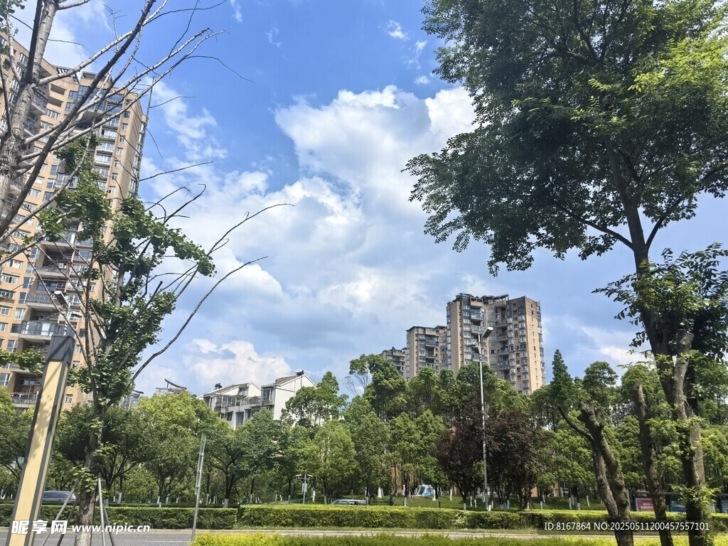 城市中的綠意公園景觀