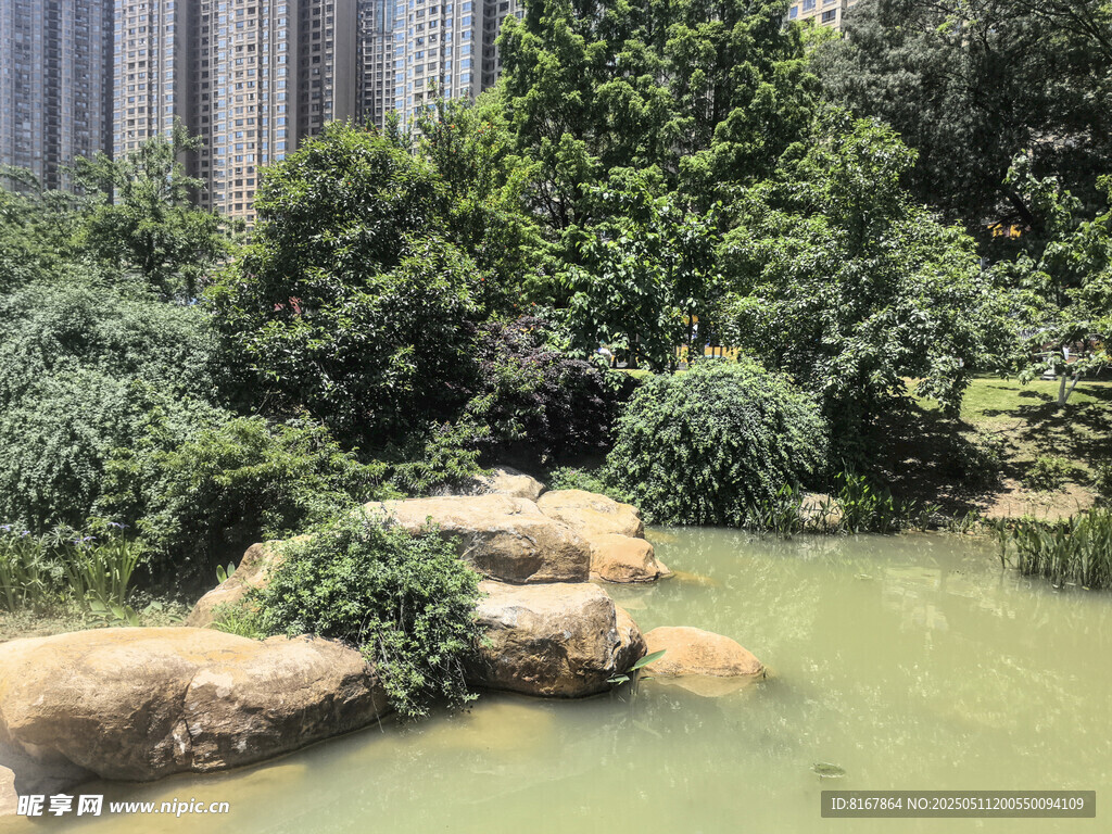 城市中的靜謐綠植水景