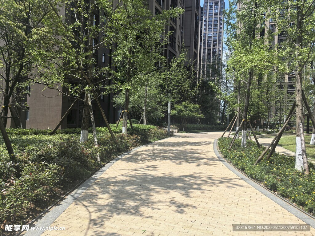 城市中的靜謐林蔭步道