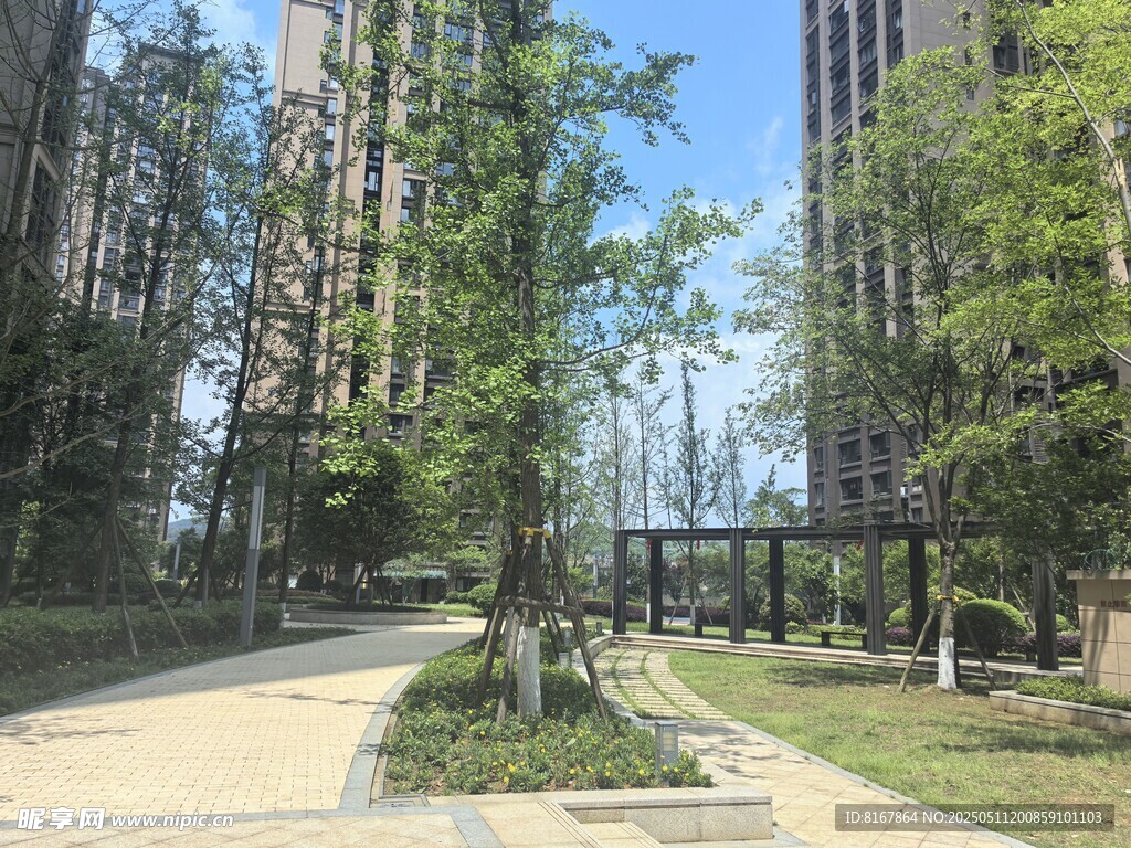 城市中的靜謐綠化景觀