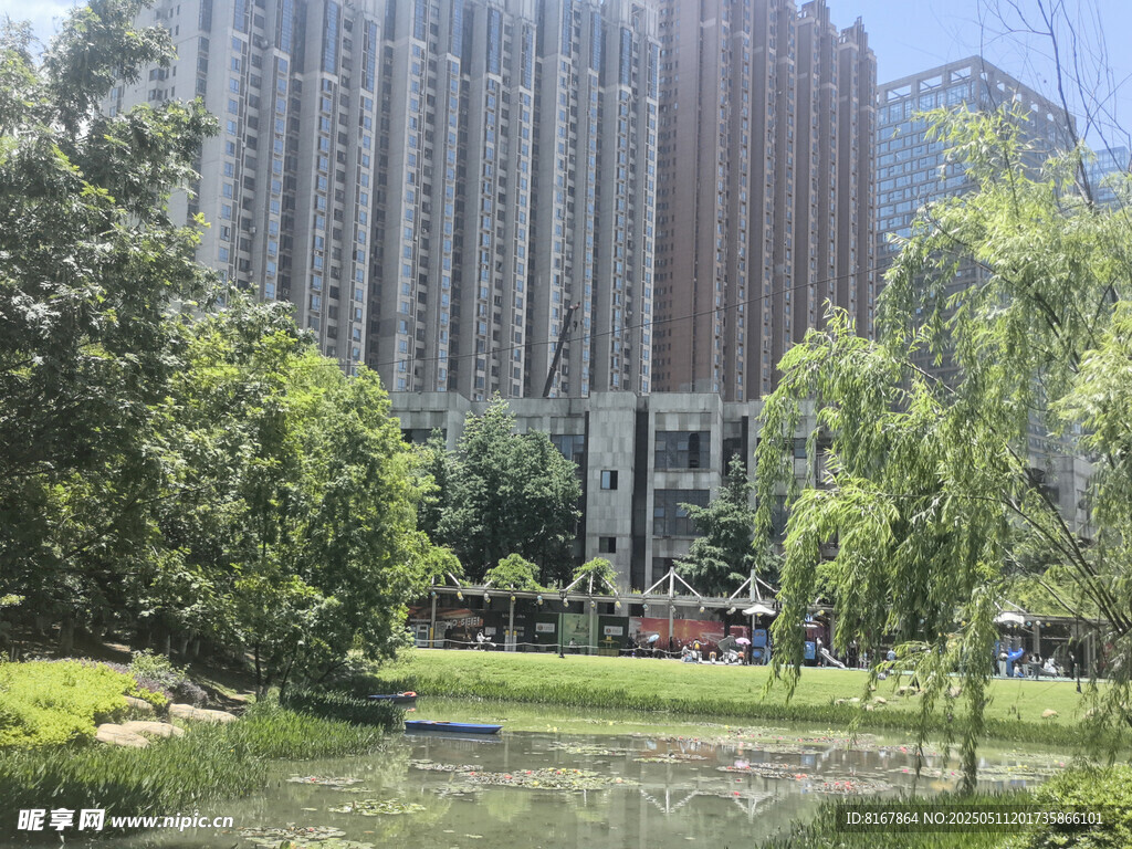 城市中的靜謐公園景觀