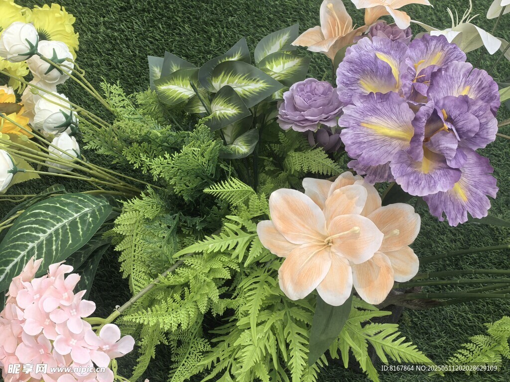 多彩花卉與翠綠蕨類植物
