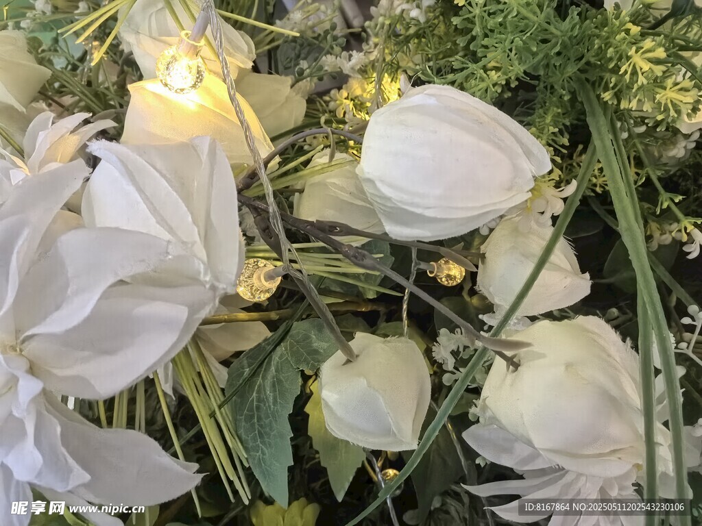 白色花卉特寫