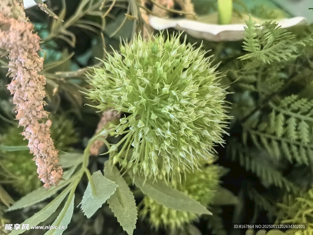 樹上的綠色榴蓮果實