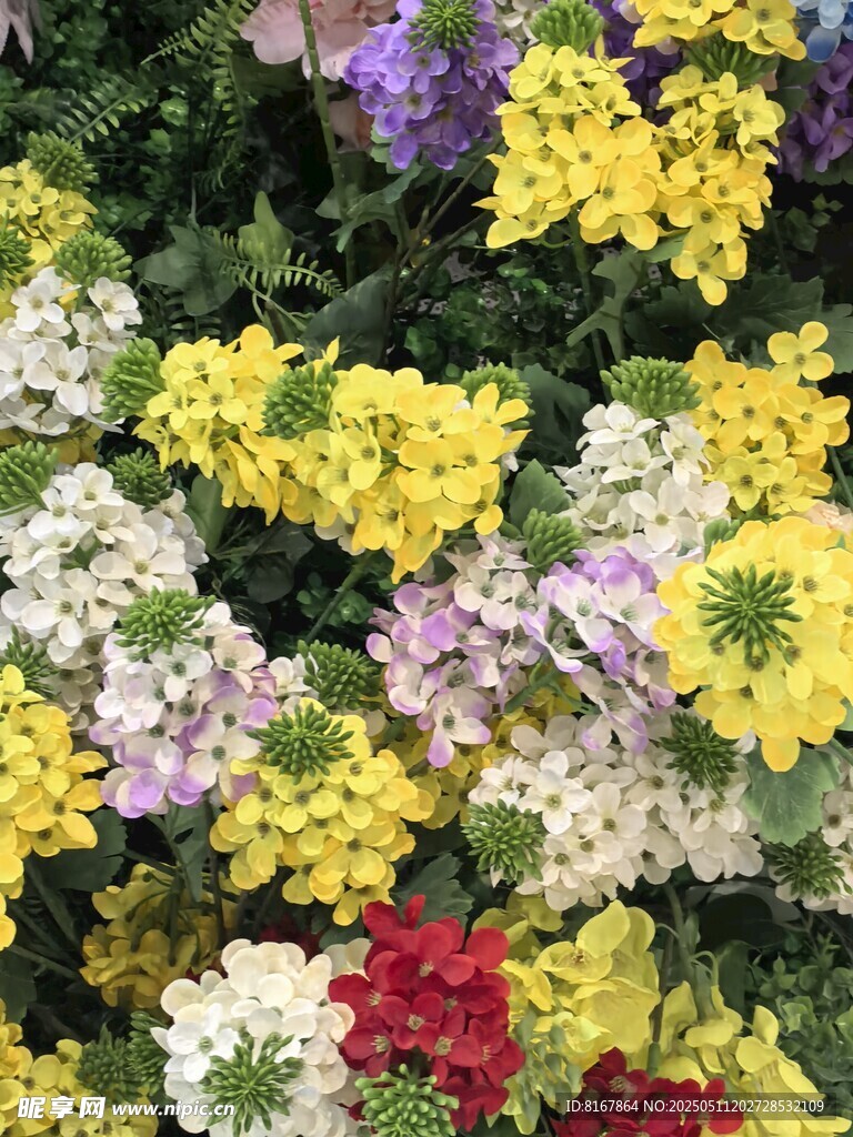 多彩花卉綻放