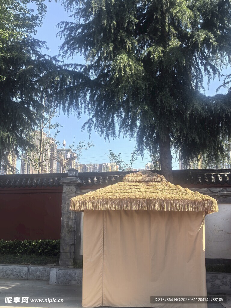 戶外黃色帳篷