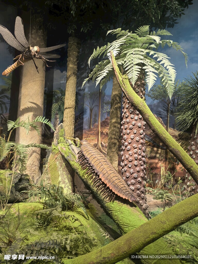 史前恐龍與植物景觀