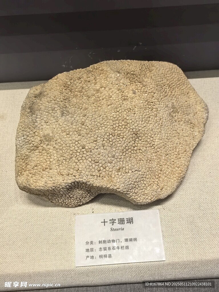 古老石制品展示