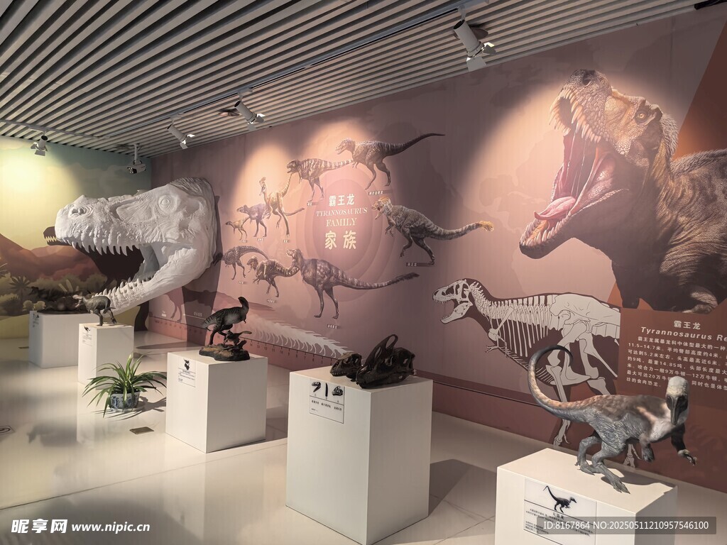 博物館內的精美展品陳列