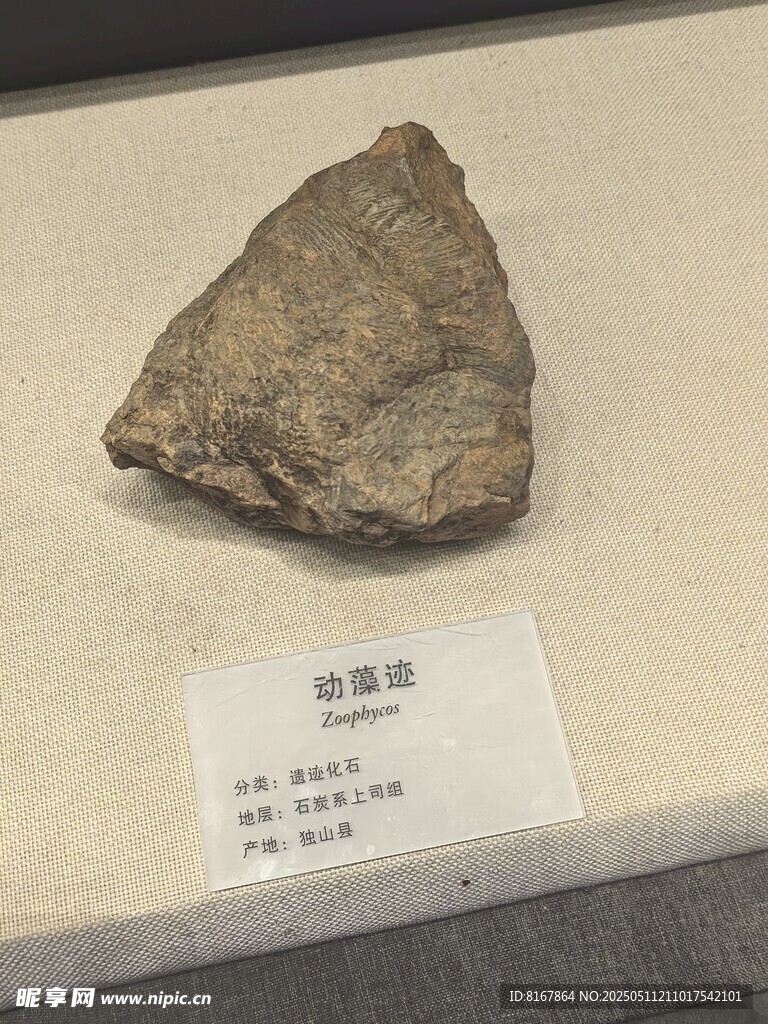 原始石制砍砸器展示