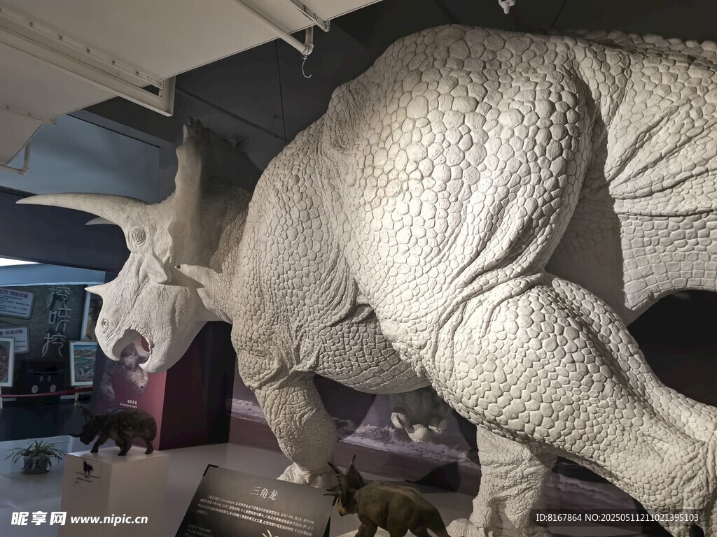博物館中的大型恐龍雕塑