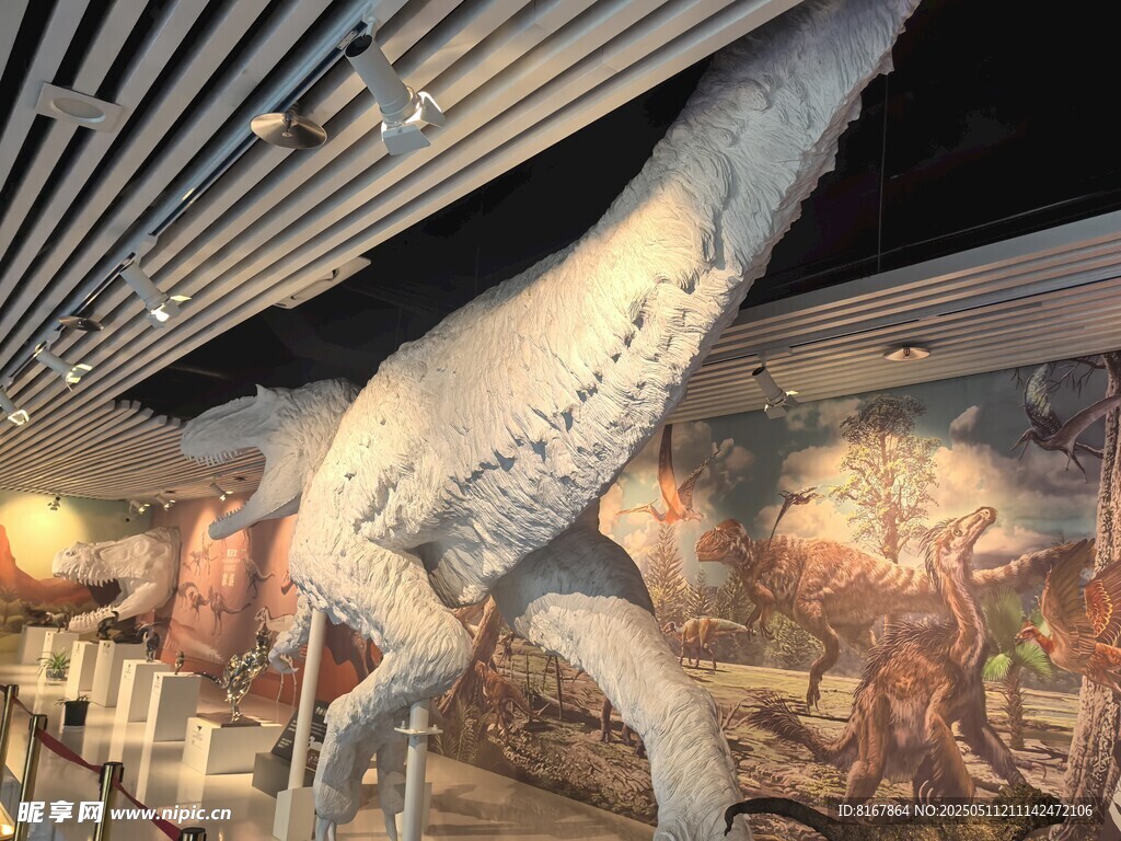 博物館中的恐龍骨架展品