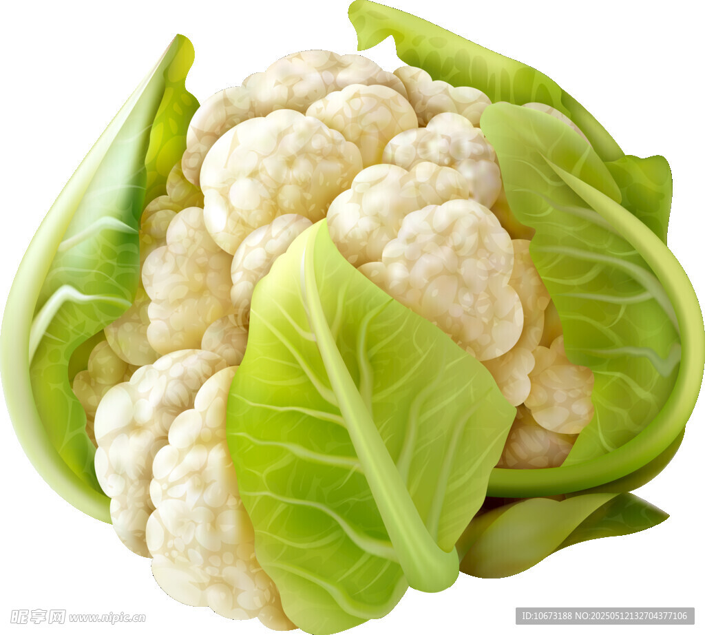 新鮮花椰菜 綠葉簇擁