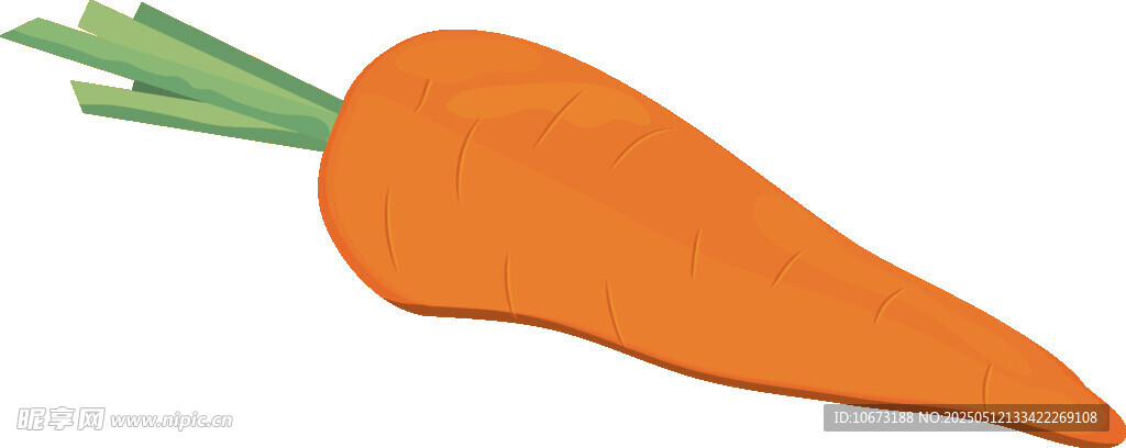 橙色胡蘿卜插畫