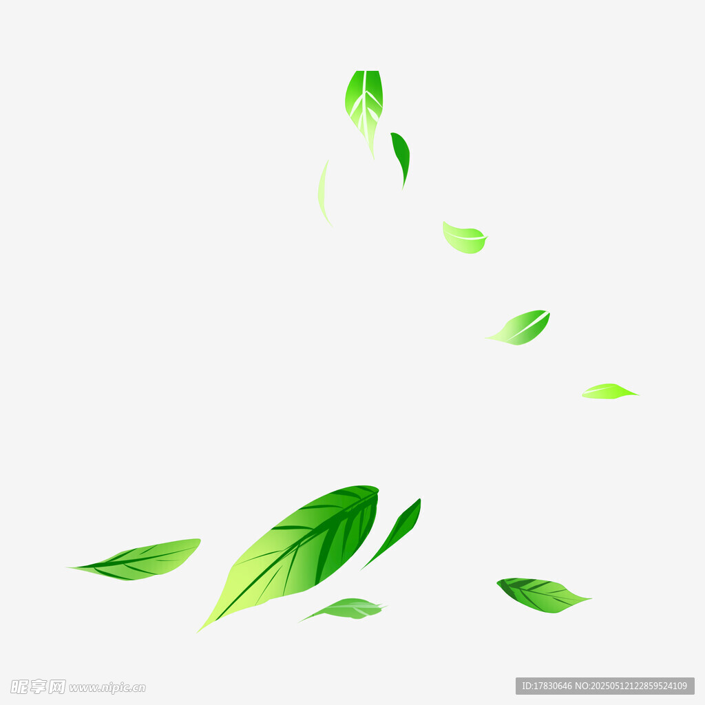 飄落的翠綠葉片