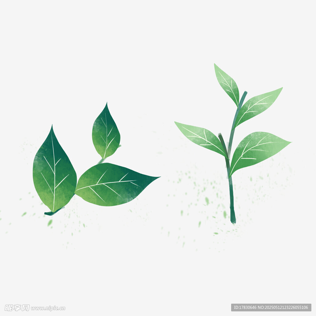 清新綠葉插畫