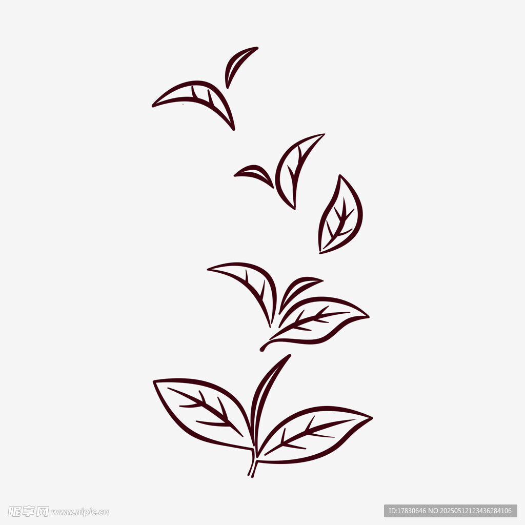 手繪簡約植物葉片圖案