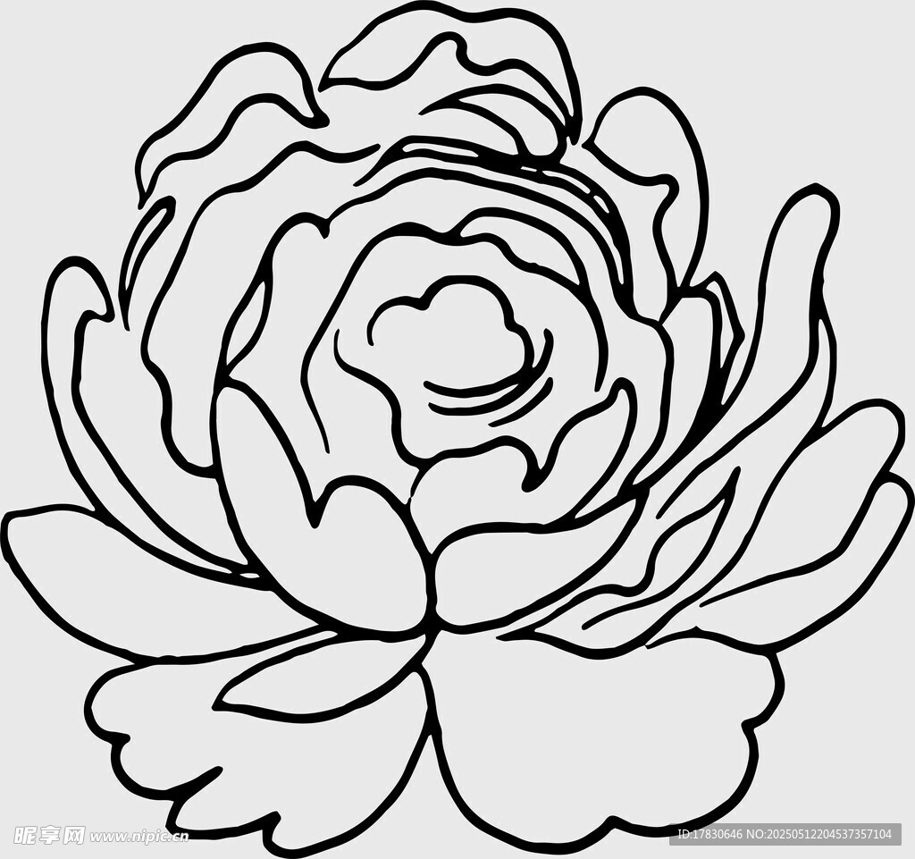 黑白線條勾勒的優(yōu)雅花朵