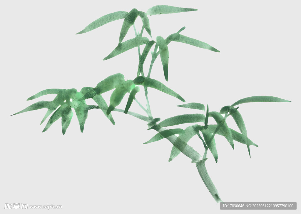 翠綠竹枝