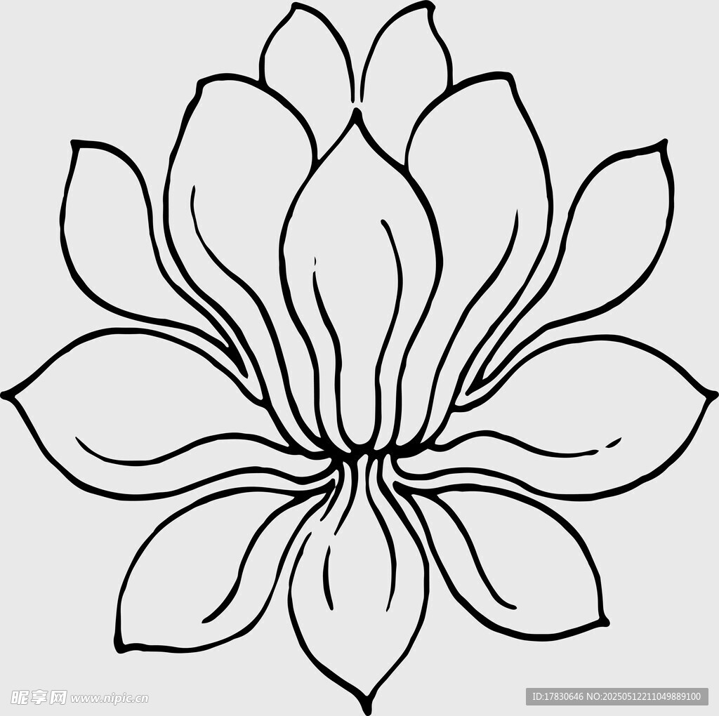 簡約線條蓮花圖案