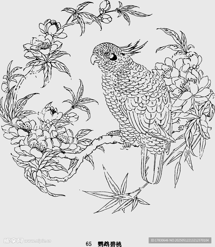 花鳥白描圖