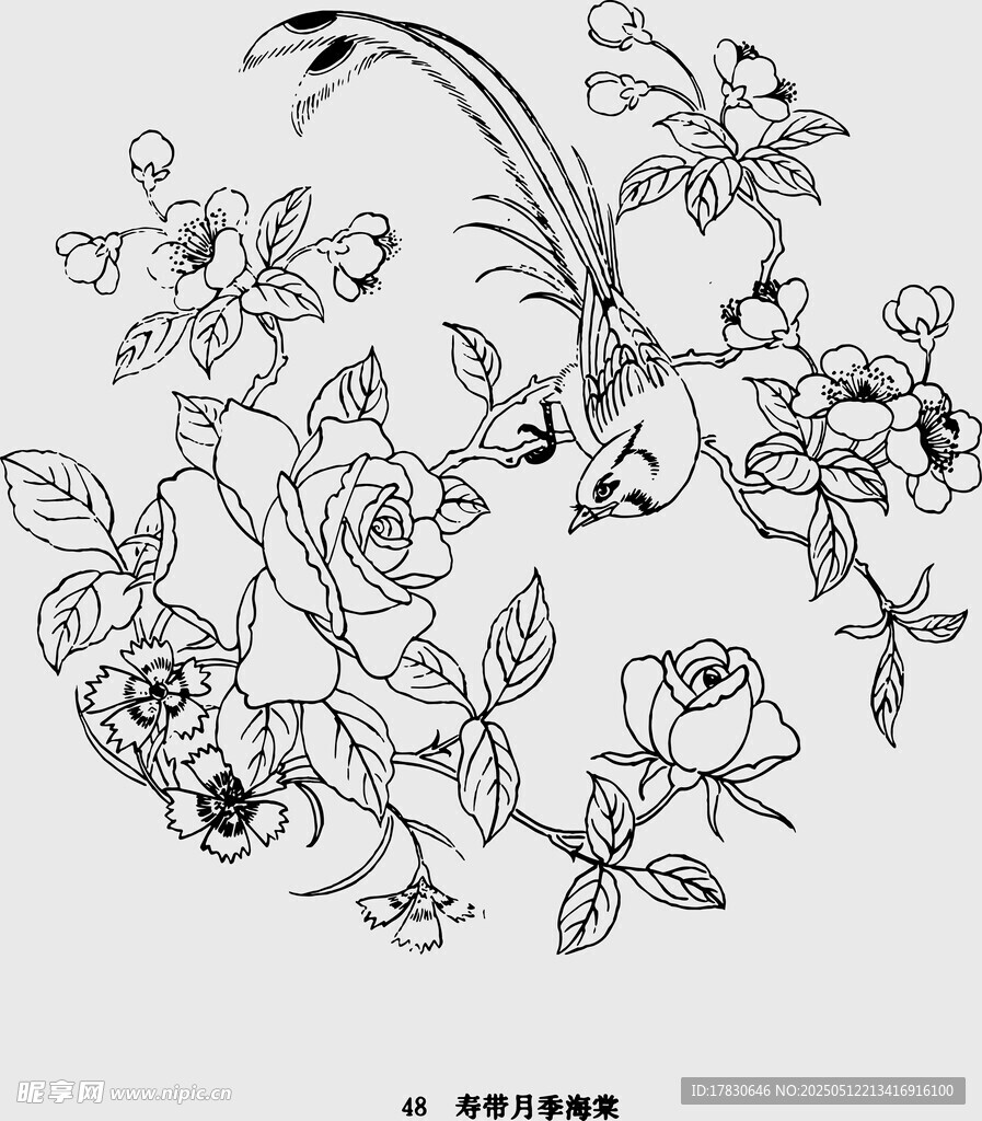 花鳥花卉線描圖案設計稿