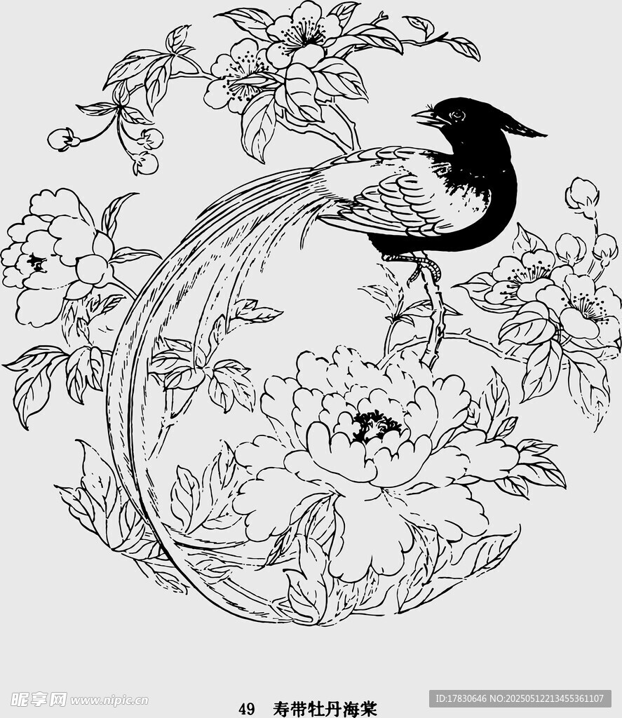 鳳凰牡丹中式傳統(tǒng)圖案