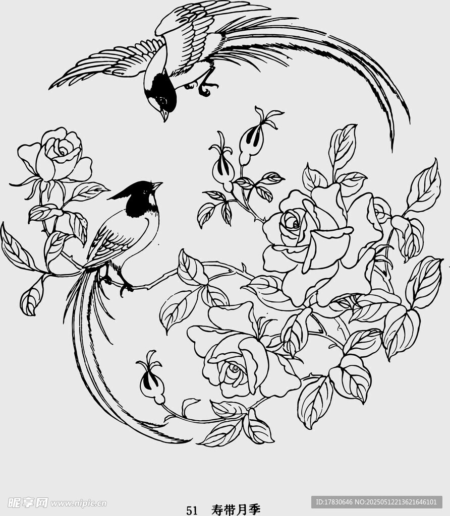花鳥花卉傳統圖案線稿