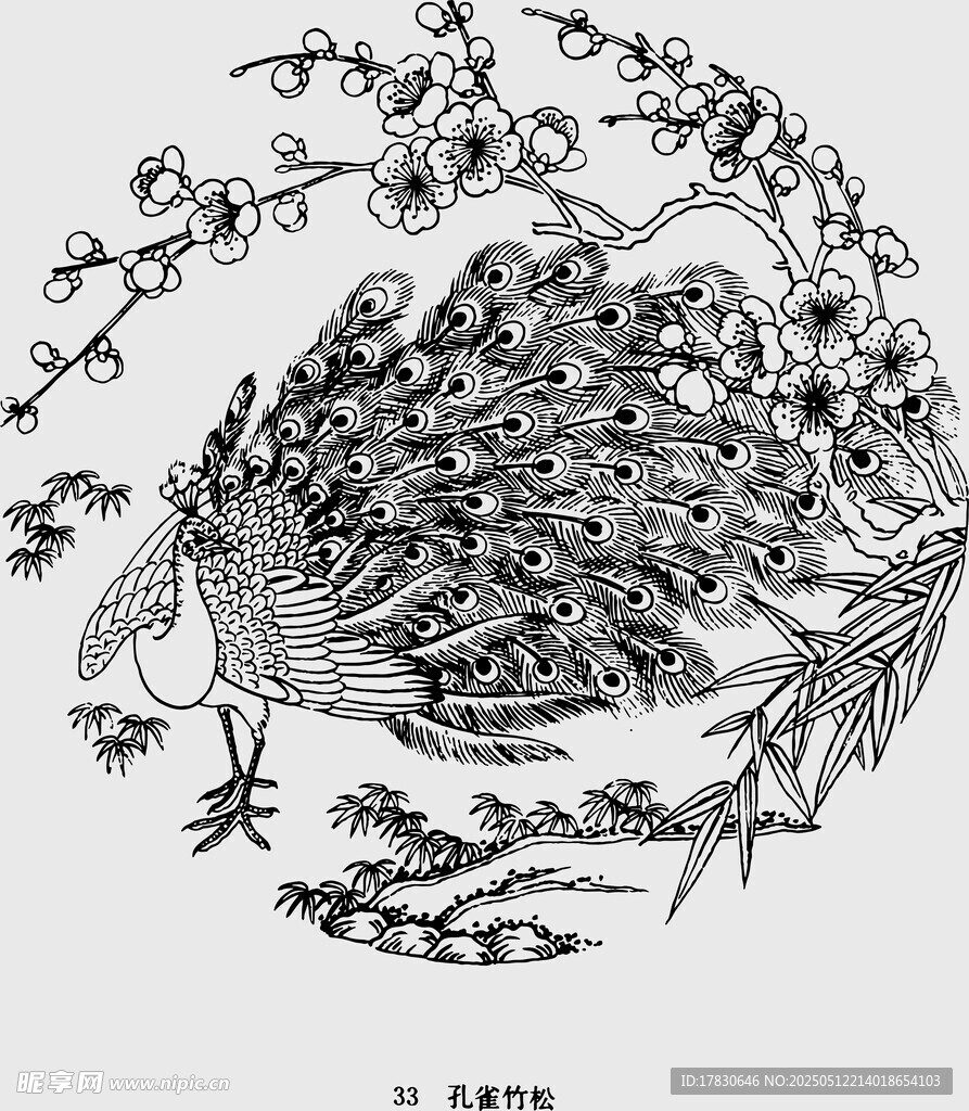 手繪孔雀與花枝圖案