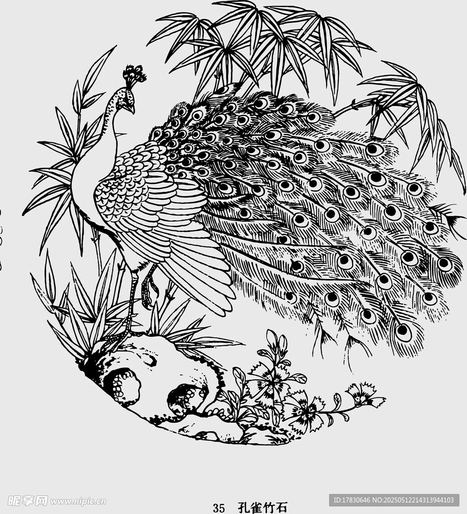 中式孔雀竹子黑白插畫