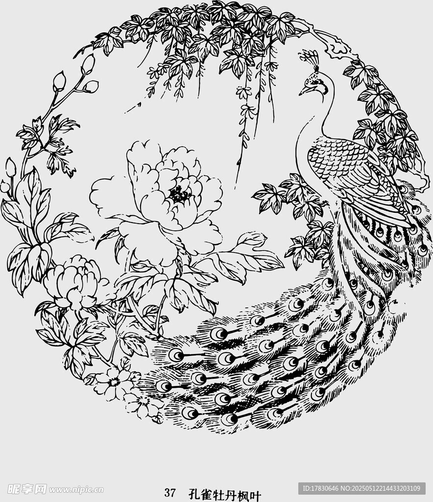 中式花鳥孔雀傳統圖案