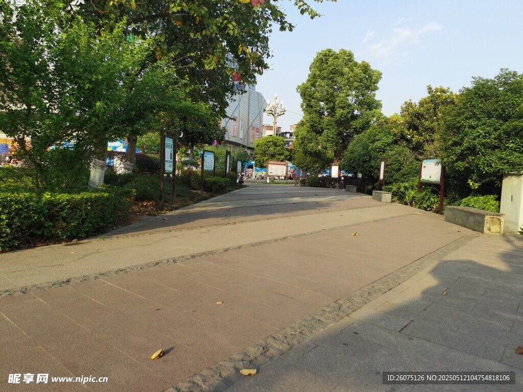 公園路面