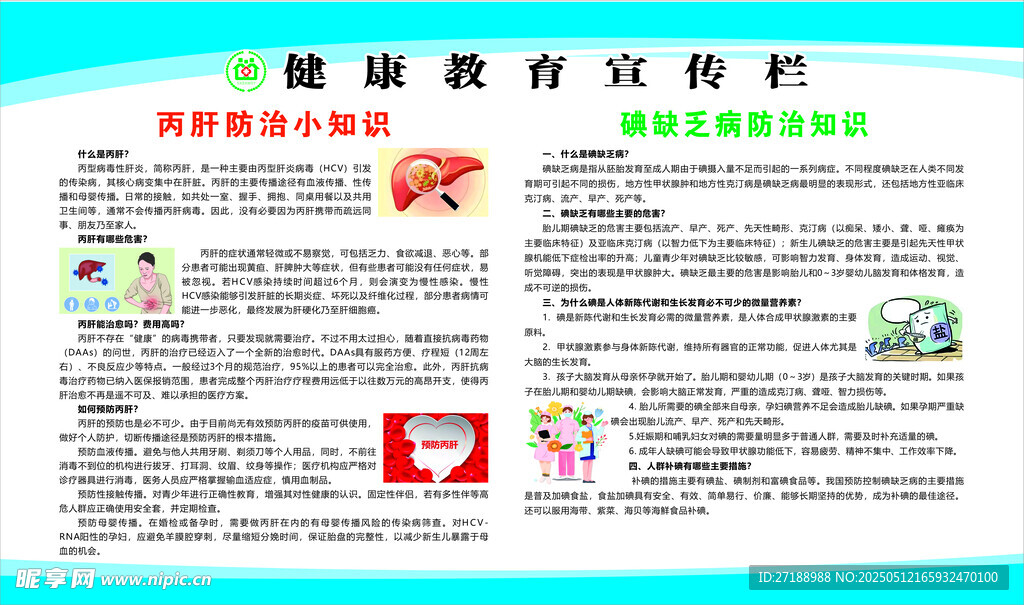 丙肝防治  碘缺乏