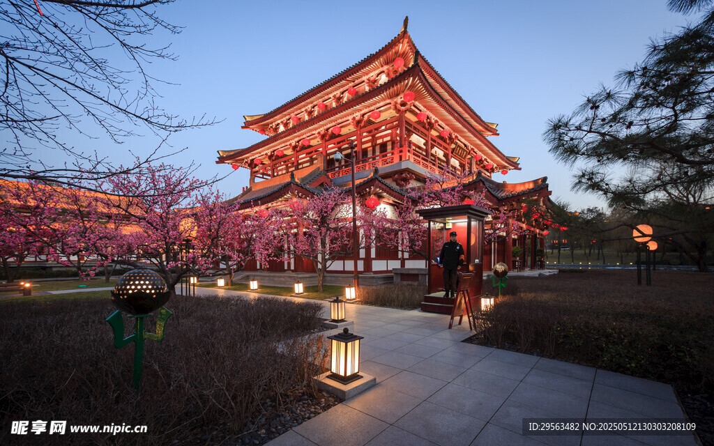 古建夜景 繁花相伴的樓閣