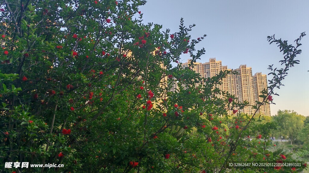 綠樹掩映中的建筑景觀