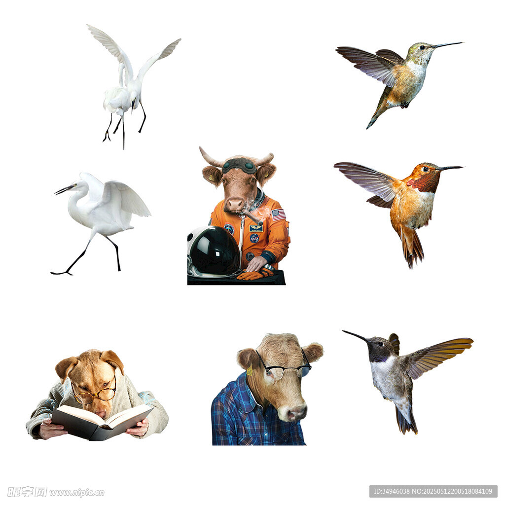 人與動物和諧瞬間
