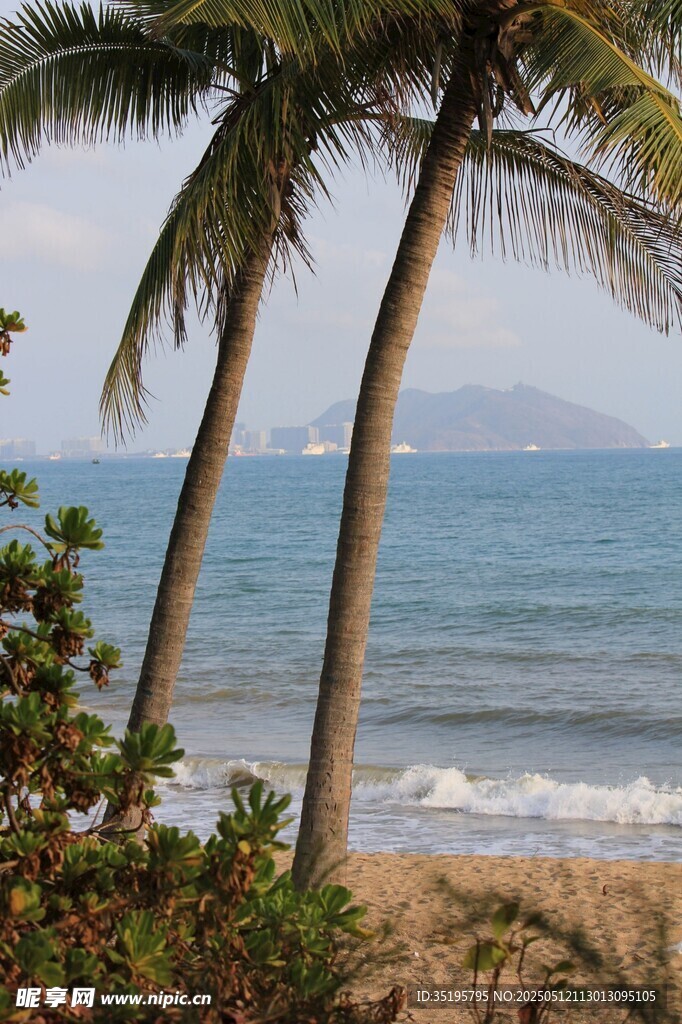海邊椰樹風景
