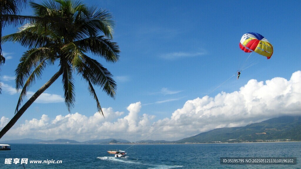 海邊椰樹(shù)旁的水上滑翔傘