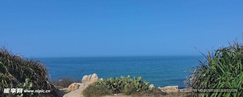 海邊景致 綠植與蔚藍大海