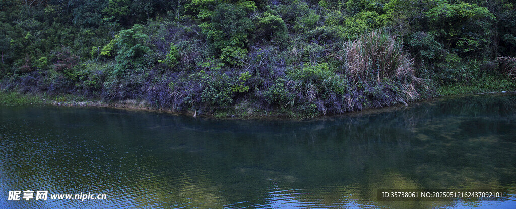 寧靜湖畔綠植環繞美景
