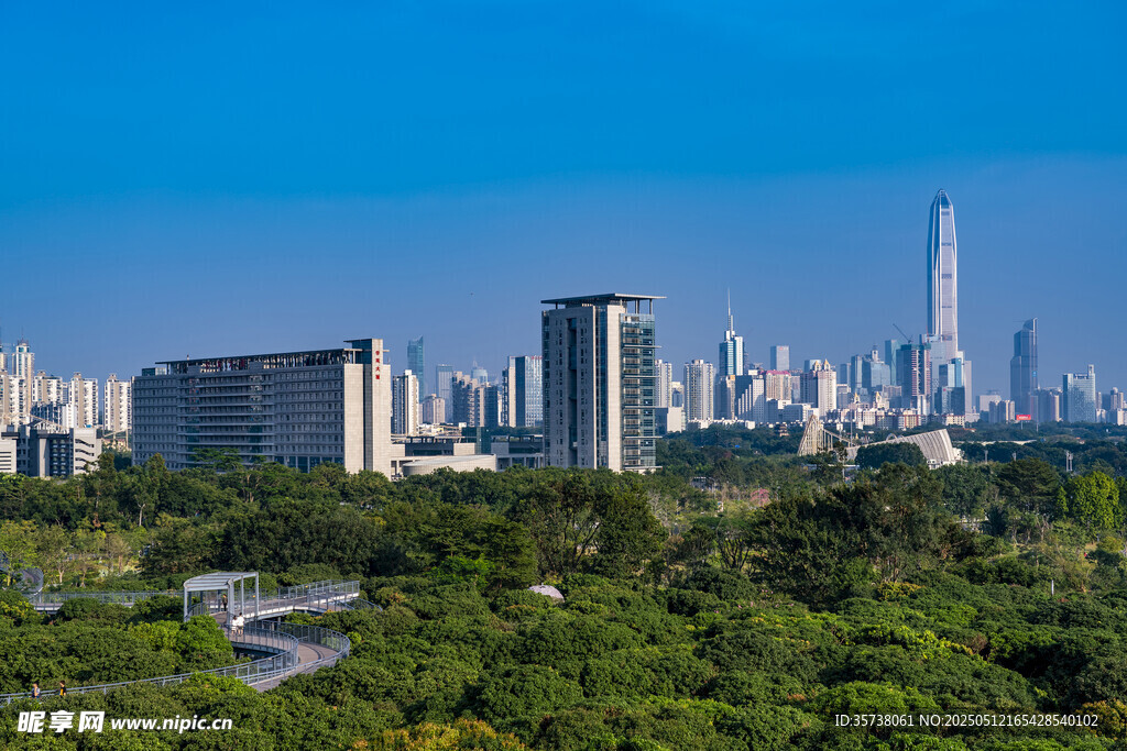 城市與綠地相映的美麗景觀