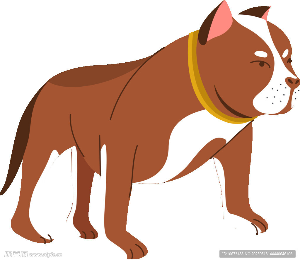站立的棕色斗牛犬